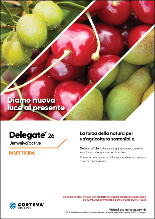 Anteprima della brochure Delegate 26