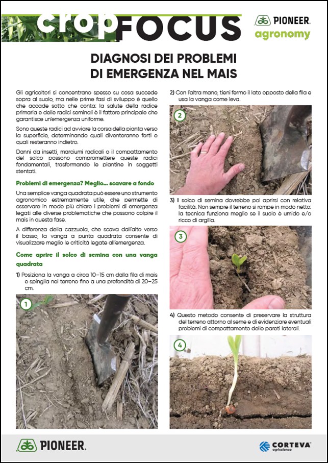 Immagine di anteprima dell'articolo