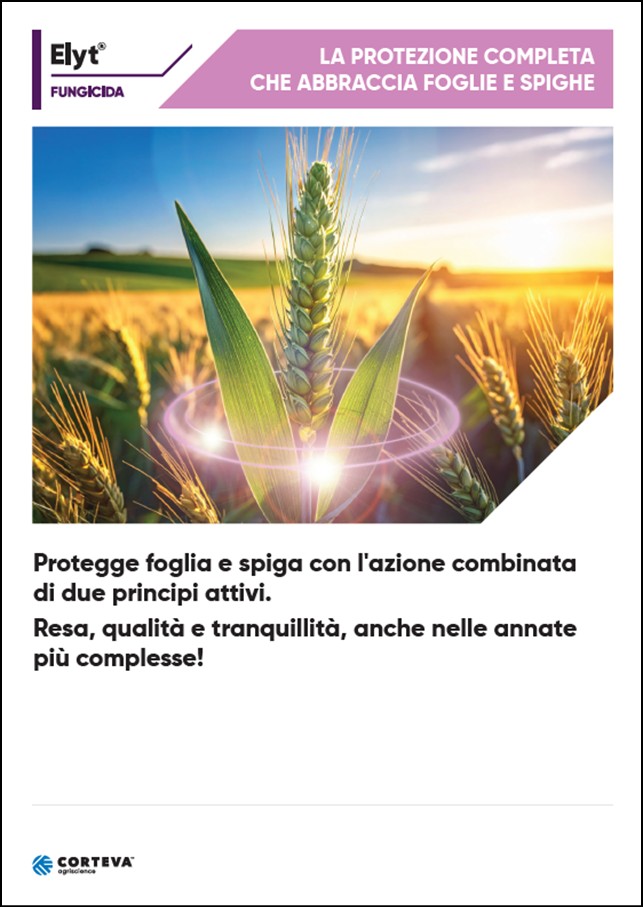 Anteprima della brochure del fungicida Elyt per i cereali