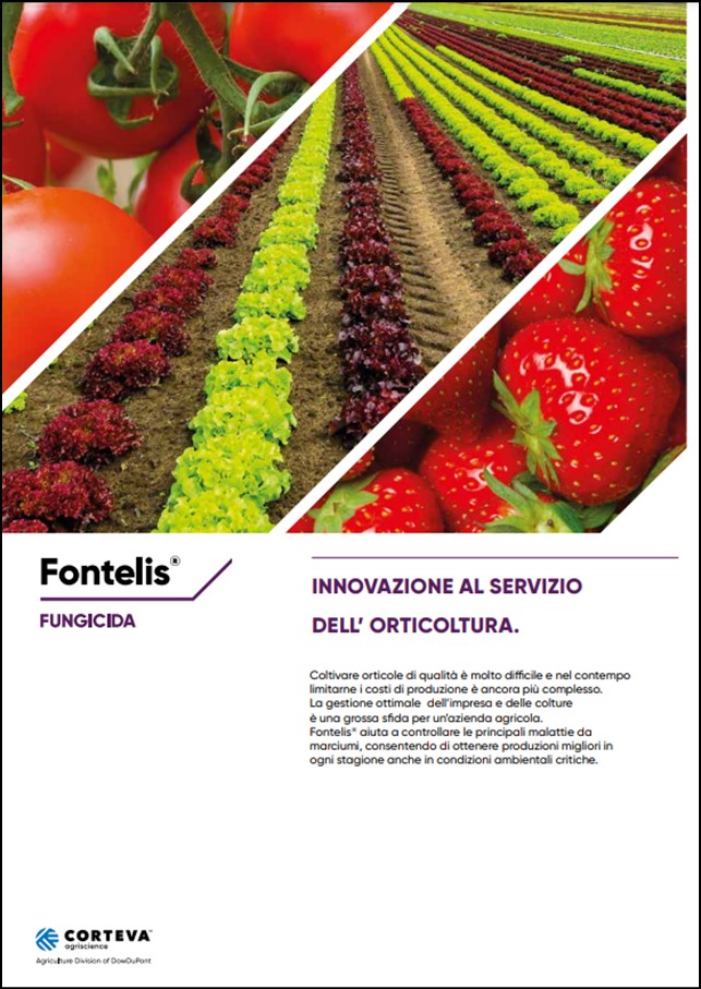 Anteprima della brochure del fungicida Fontelis per le orticole