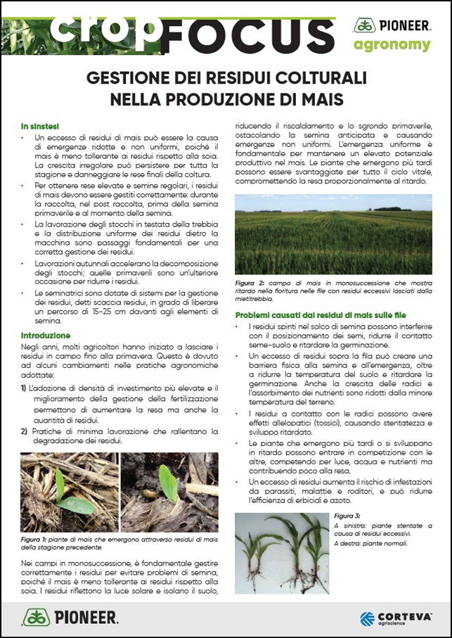 Immagine di anteprima dell'articolo