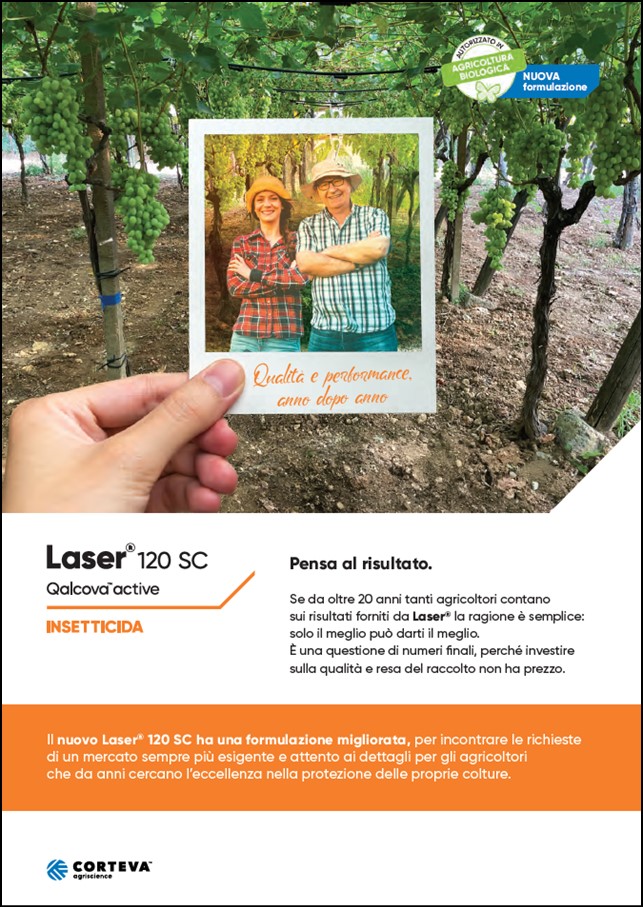 Anteprima della brochure dell'insetticida Laser 120 SC per vite da tavola