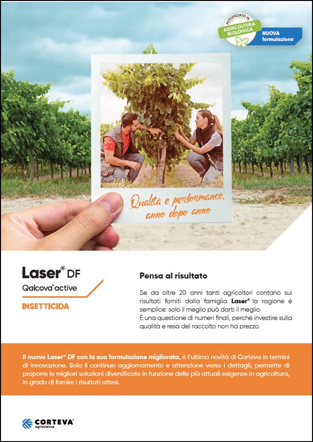 Anteprima della brochure dell'insetticida Laser DF per vite da tavola