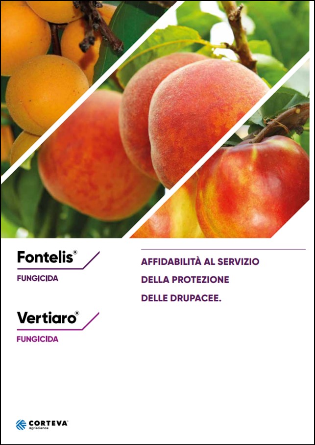 Anteprima della brochure del fungicida Fontelis per le drupacee