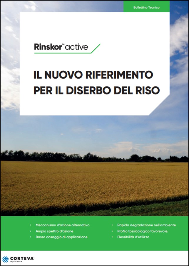 Anteprima della brochure della linea Rinskor active