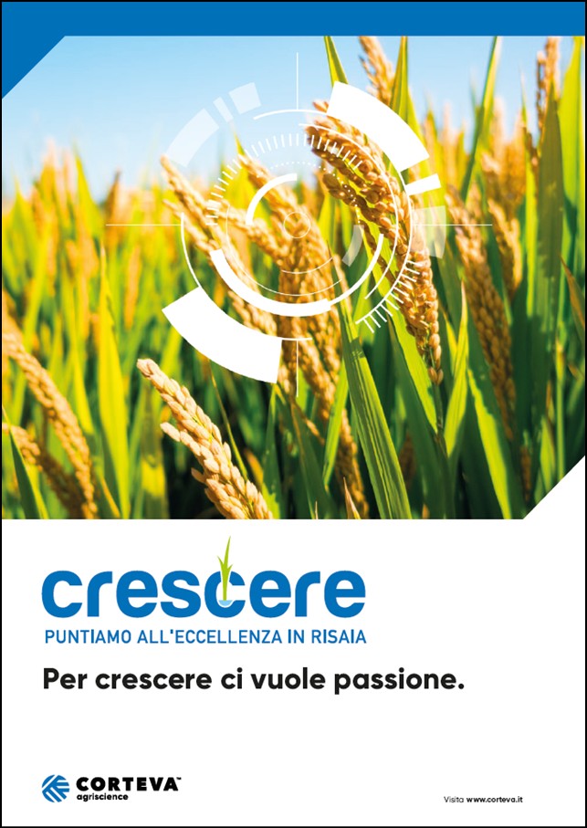 Anteprima della brochure della linea Riso