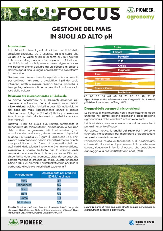 Immagine di anteprima dell'articolo