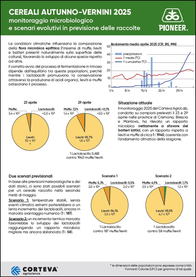 Immagine di anteprima dell'articolo
