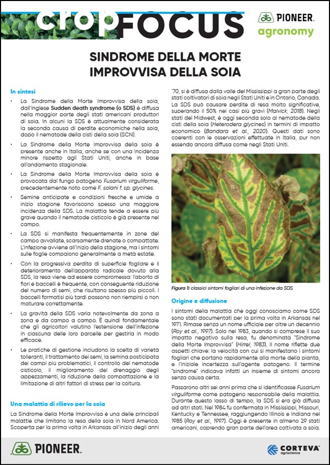 Immagine di anteprima dell'articolo