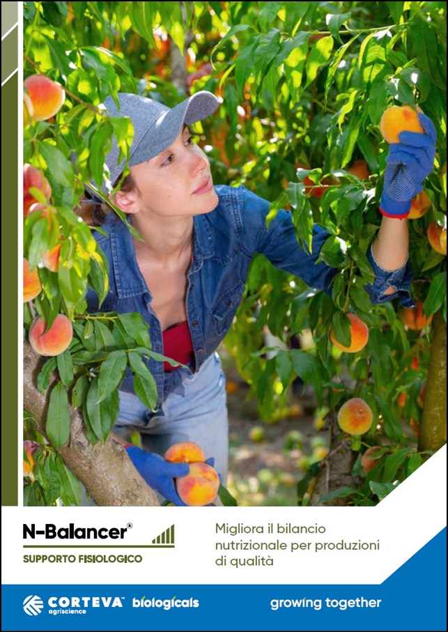 Anteprima della brochure di N-Balancer