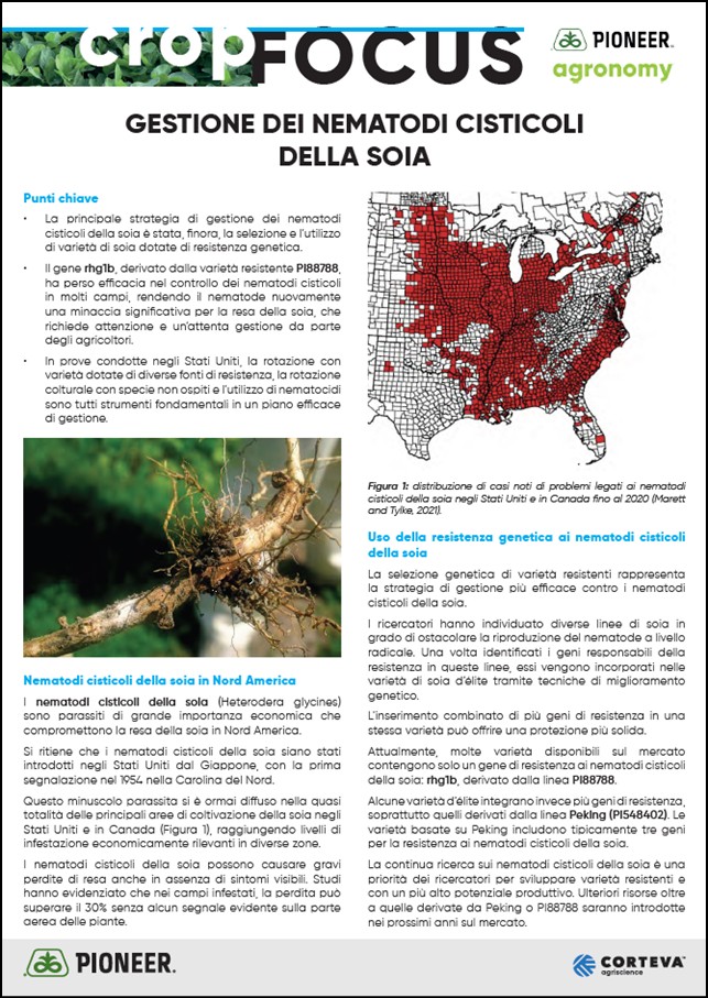 Immagine di anteprima dell'articolo