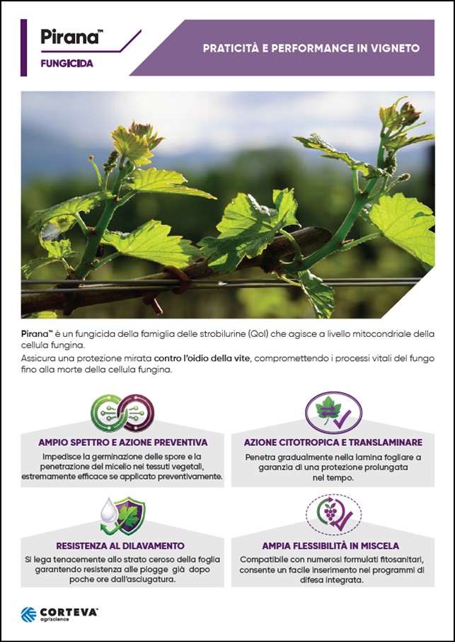 Anteprima della brochure del fungicida Pirana
