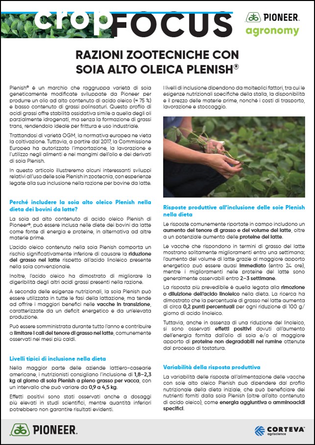 Immagine di anteprima dell'articolo