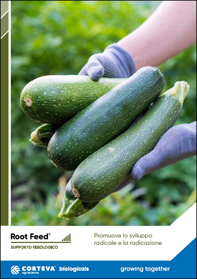 Anteprima della brochure di Root Feed per le colture orticole