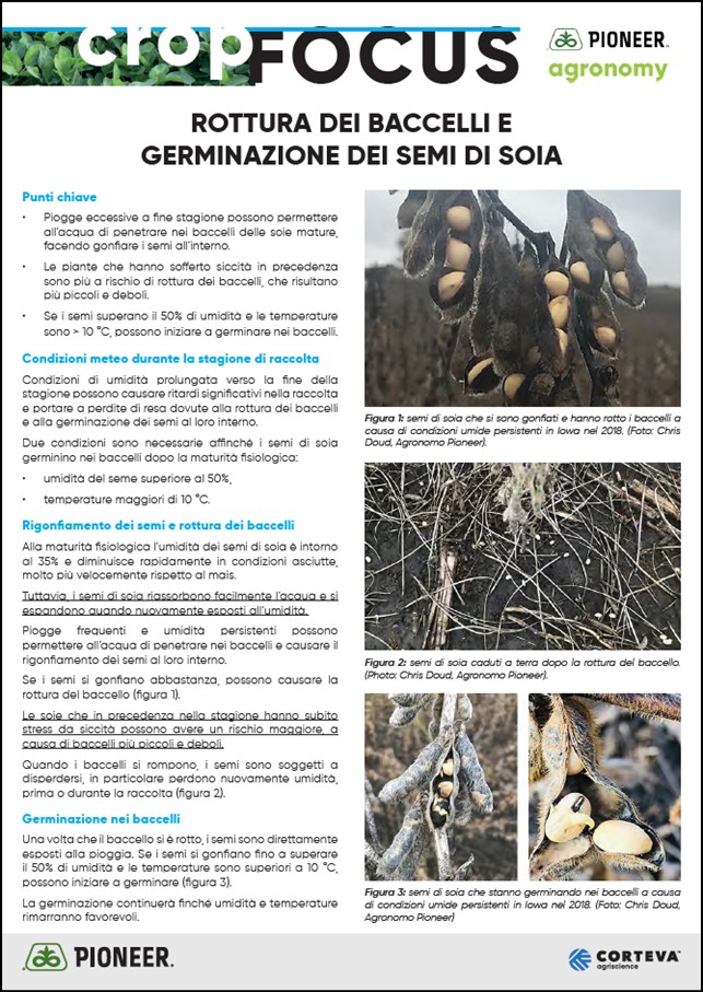 Immagine di anteprima dell'articolo