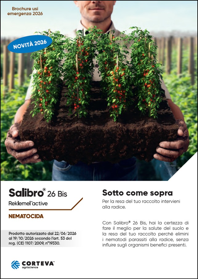 Anteprima della brochure del nematocida Salibro 26 Bis