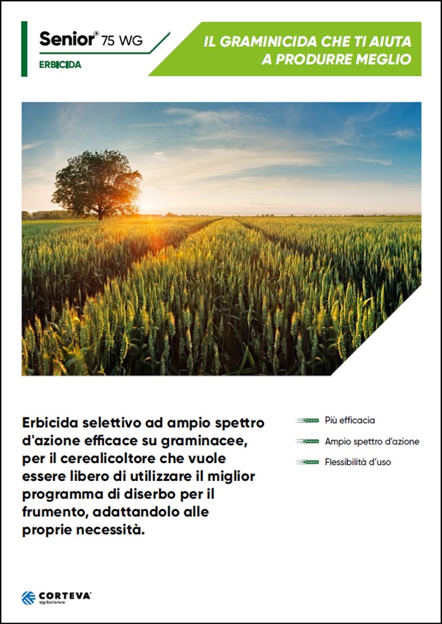 Anteprima della brochure dell'erbicida Senior 75 WG per i cereali