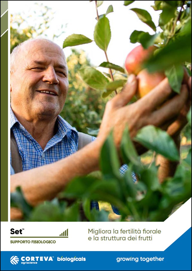 Anteprima della brochure di Set