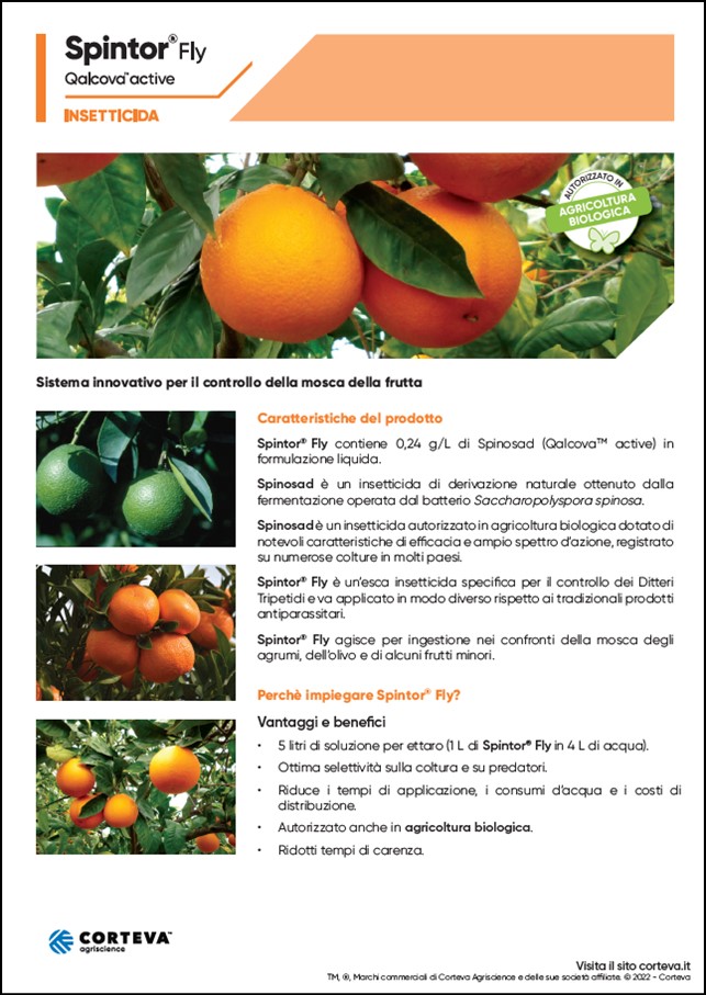 Anteprima della brochure dell'insetticida Spintor Fly per agrumi