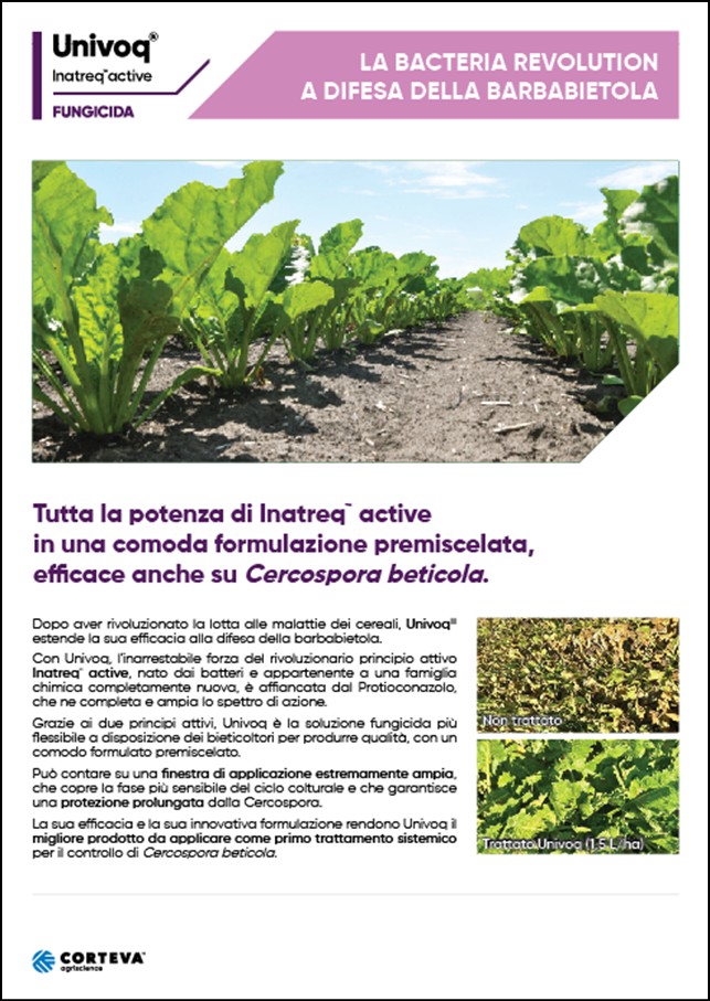 Anteprima della brochure del fungicida Univoq per la barbabietola