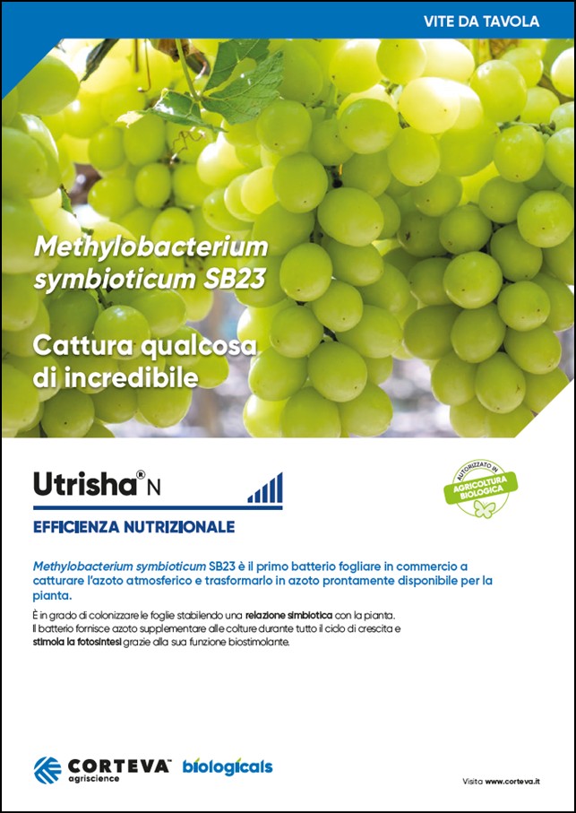 Anteprima della brochure di UtrishaN per la vite da tavola