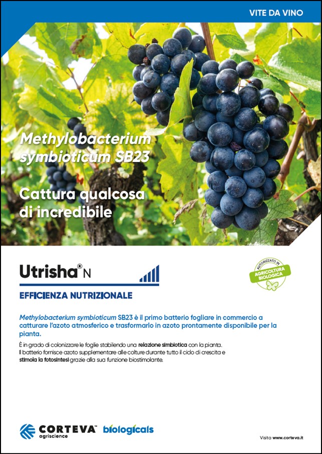 Anteprima della brochure di UtrishaN per la vite da vino