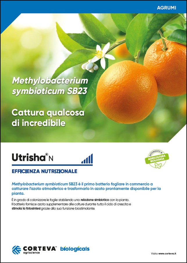 Anteprima della brochure di UtrishaN per gli agrumi