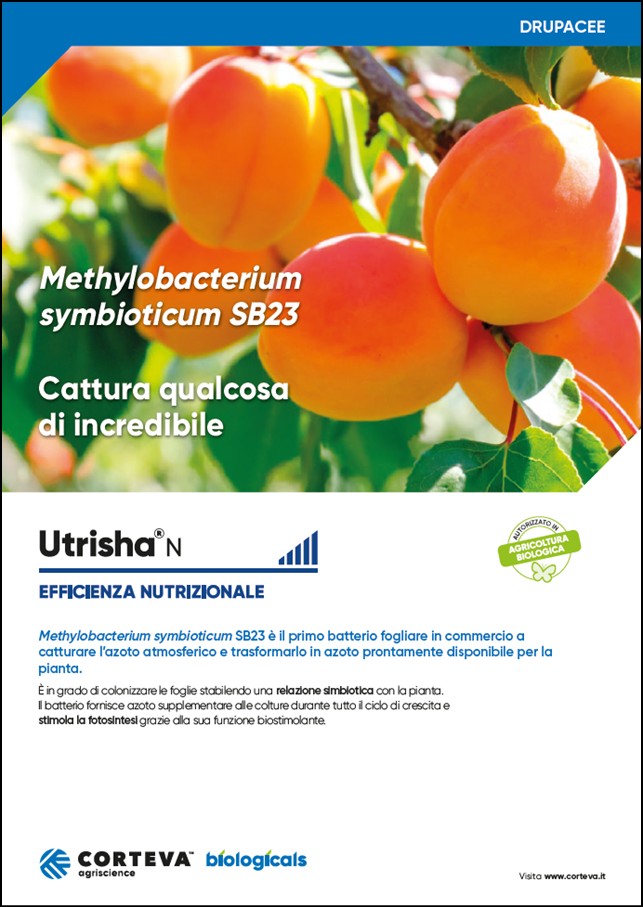 Anteprima della brochure di UtrishaN per le drupacee