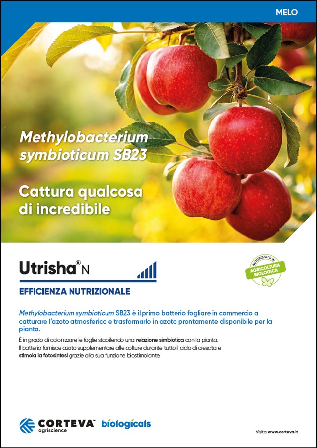 Anteprima della brochure di UtrishaN per il melo