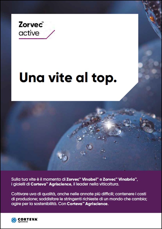 Anteprima della brochure del fungicida Zorvec Vinabria e Vinabel