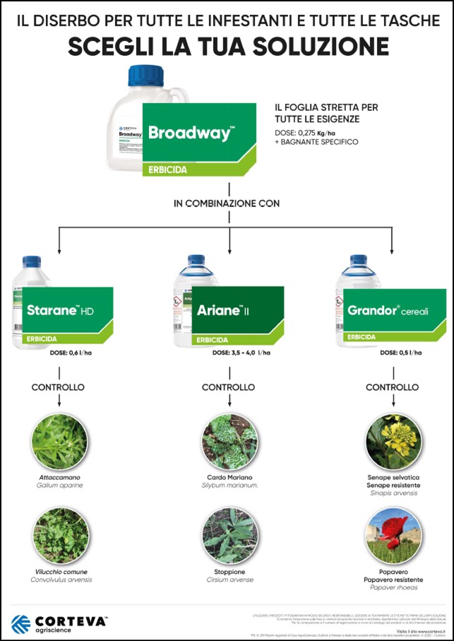 Anteprima della brochure dell'erbicida Broadway