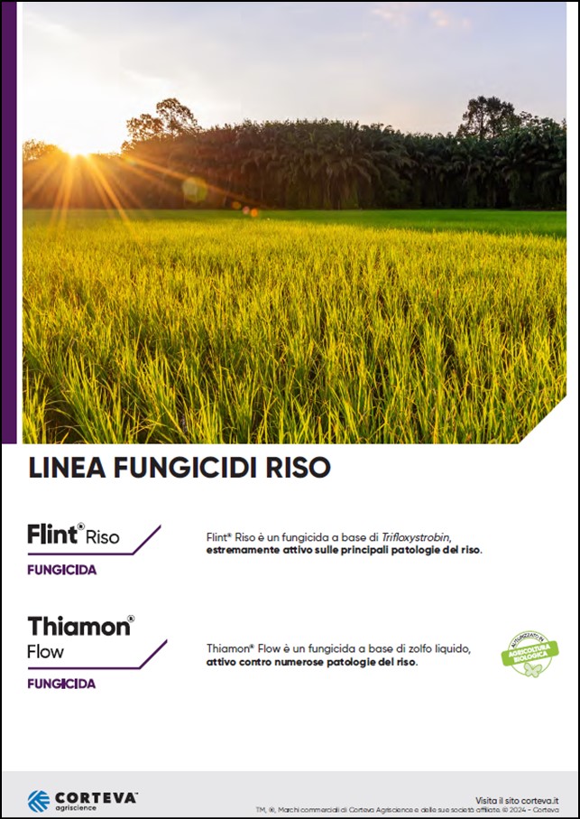 Anteprima della brochure della linea Fungicidi per il riso