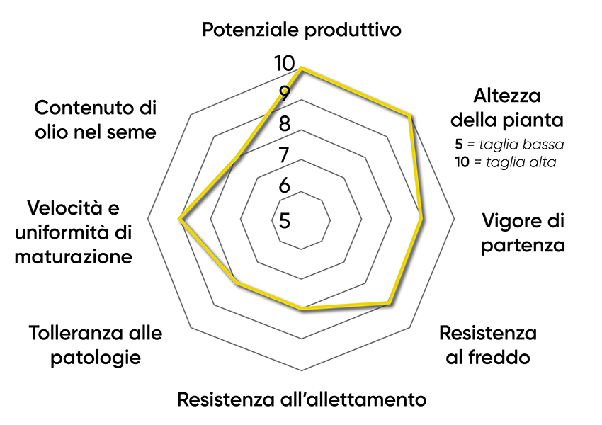 caratteristiche dell'ibrido di colza Pioneer PT314