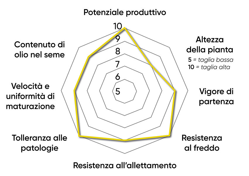 caratteristiche dell'ibrido di colza Pioneer PX141