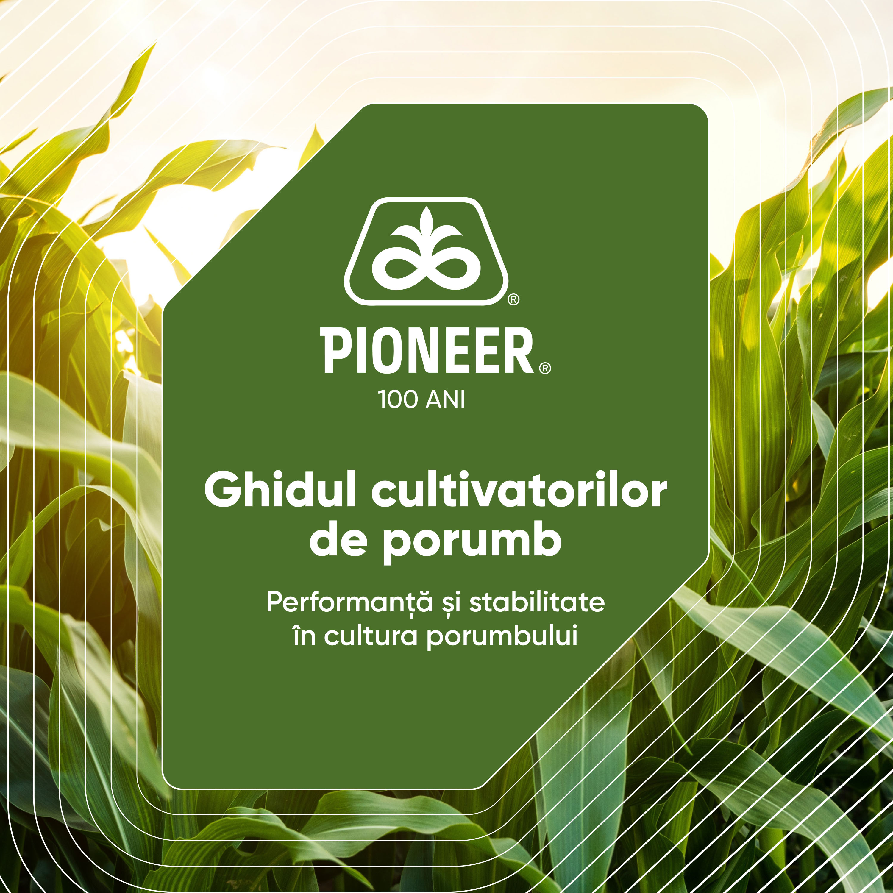 Ghidul cultivatorilor de porumb