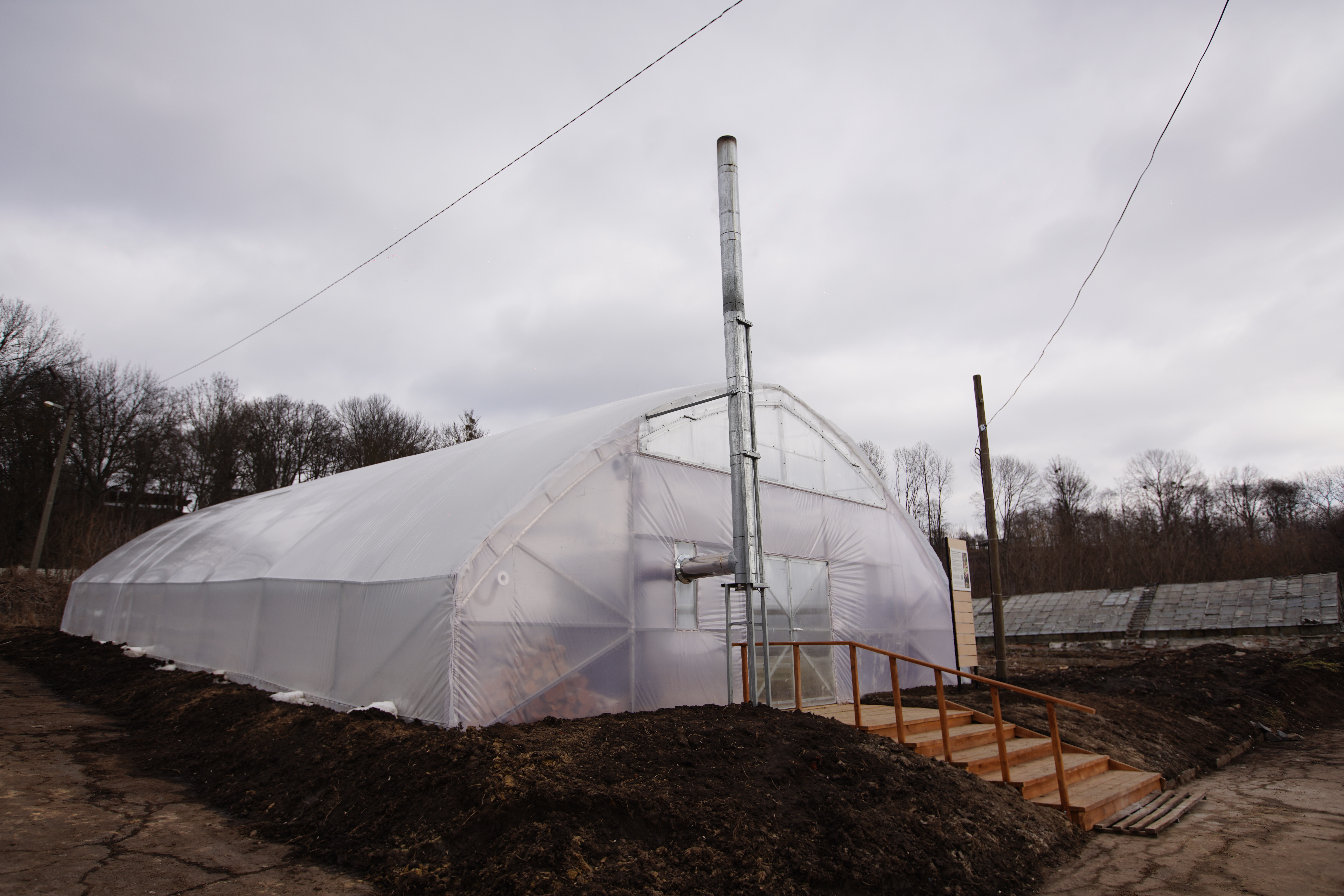 Social_help_projects