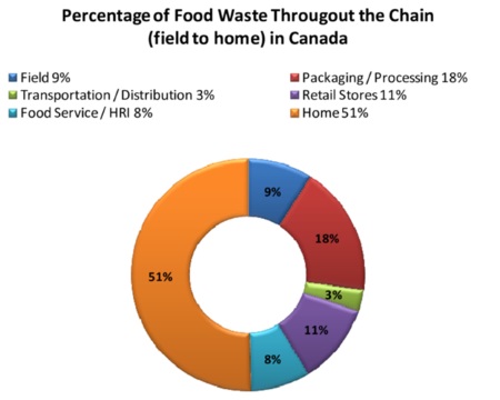 Donut-Chart showing Food Waste
