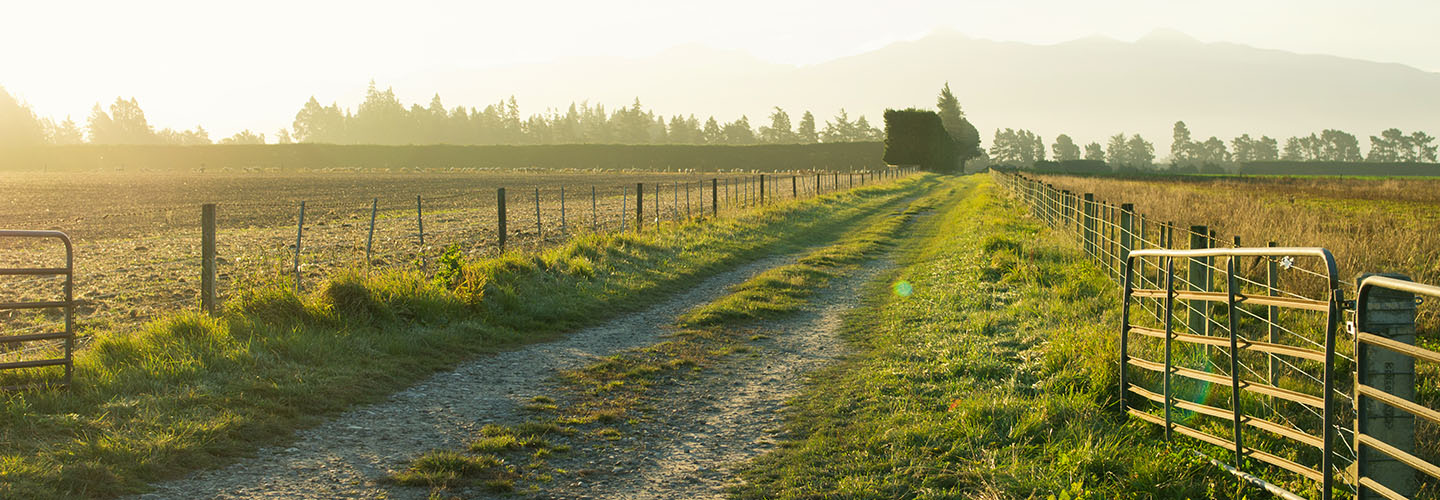 Dirt road with fence on both sides and crop fields