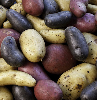 bunch of colorful potatoes