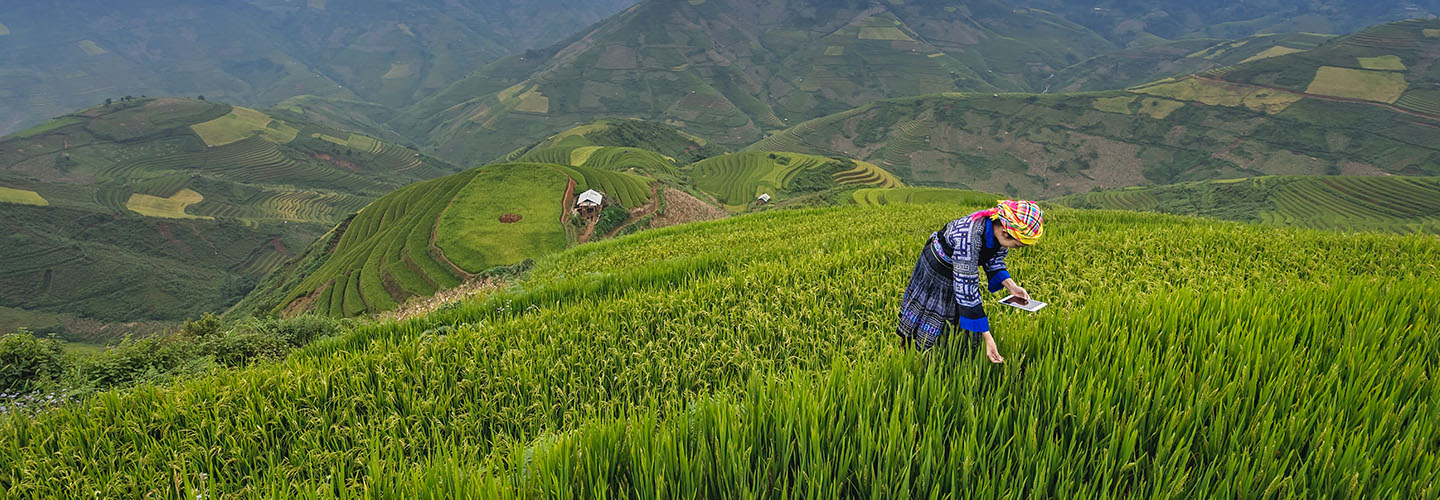 woman farmer in green field viewing iPad