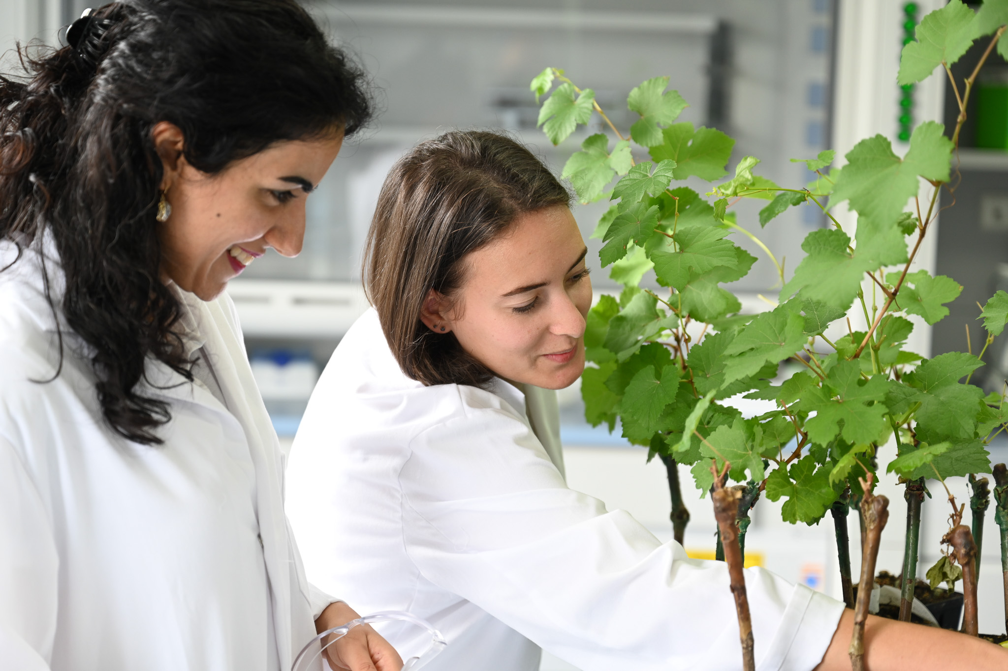 two women in lab coats collaborating in ag lab