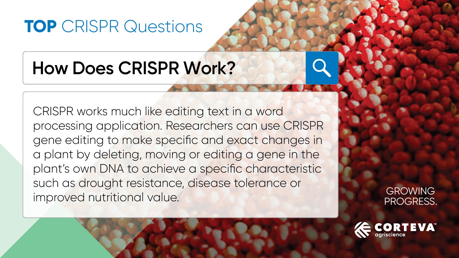 How To Solve Environmental Challenges How To Solve Environmental Challenges