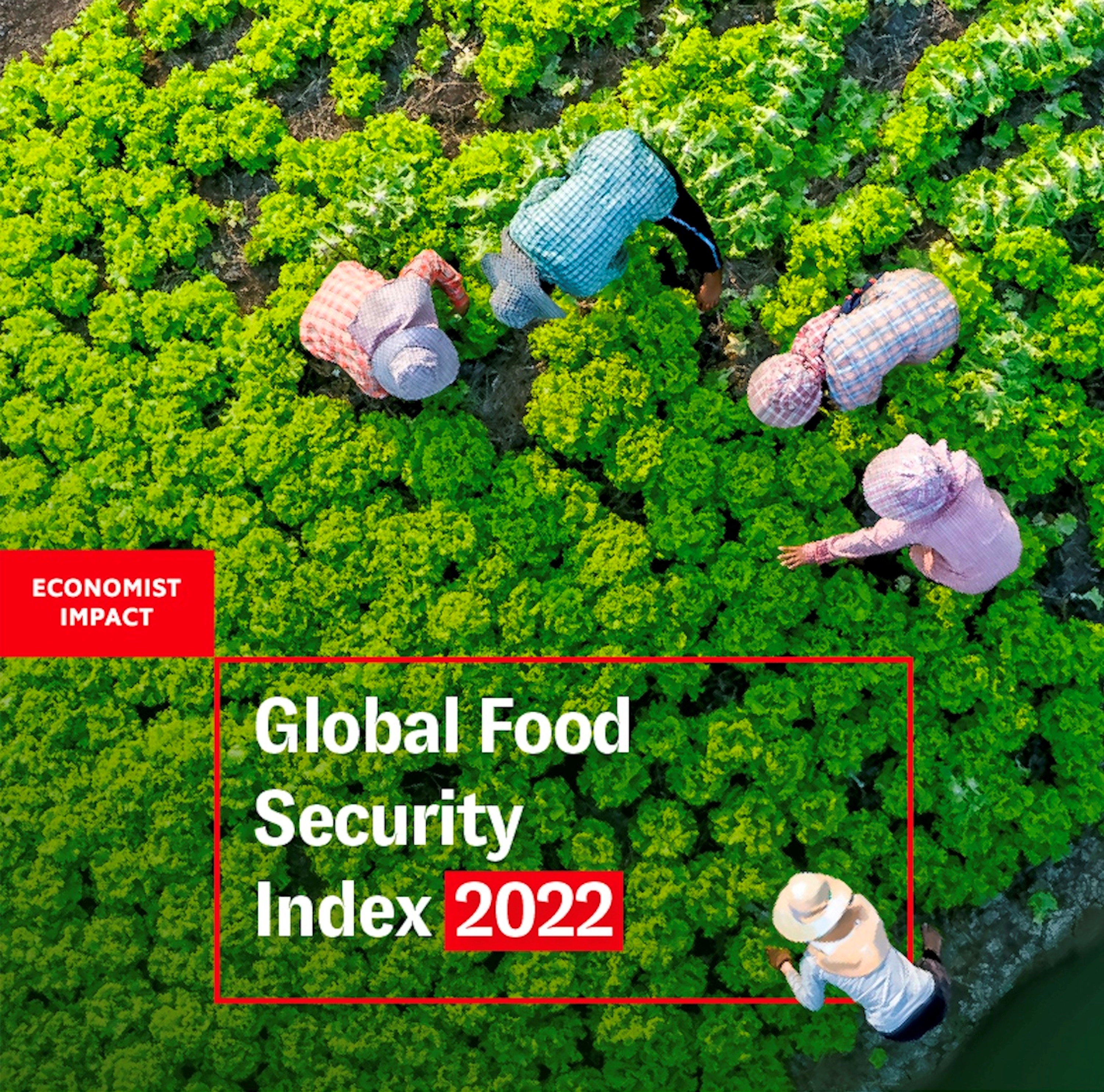 The front cover of Economist Impact’s Global Food Security Index report 2022, with an image of workers tending to crops taken from above.