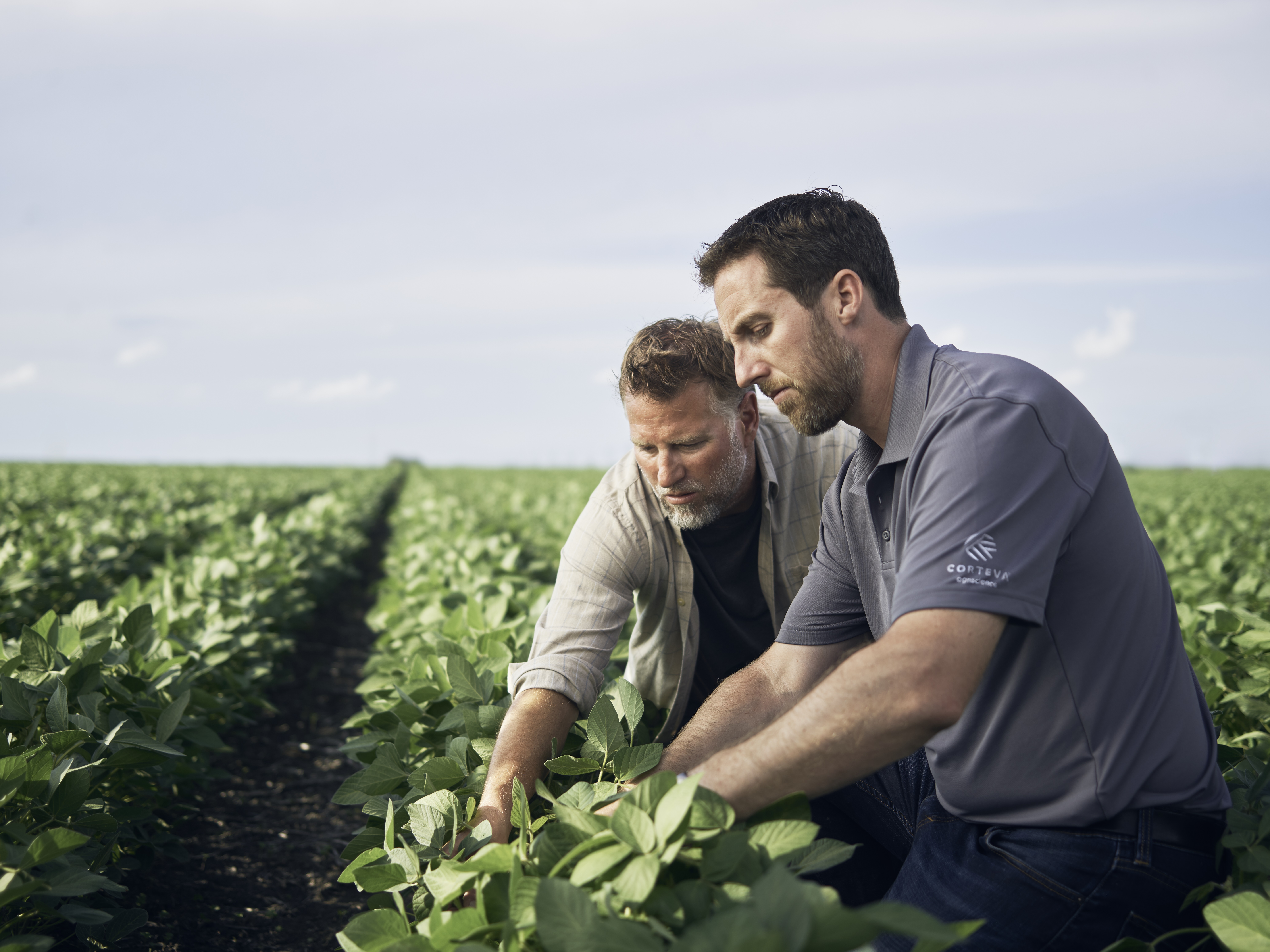Man and Corteva Rep in Soybean Field