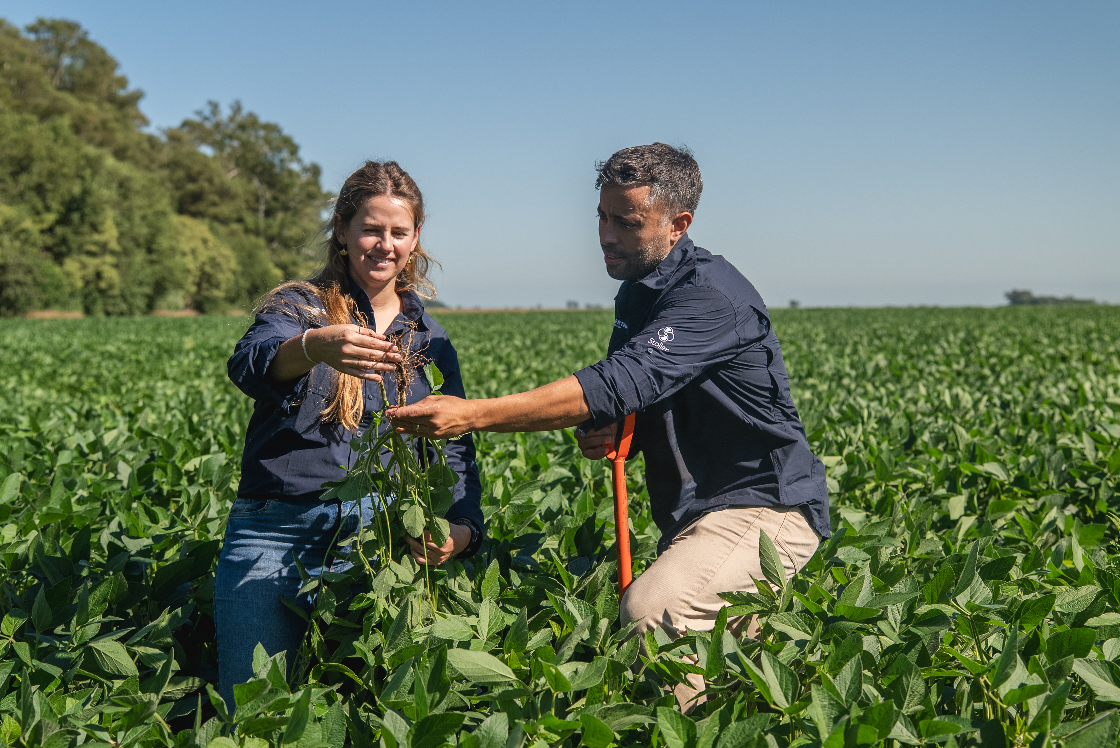 Zorvec Tomato Grower