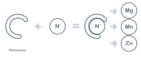 Zinc