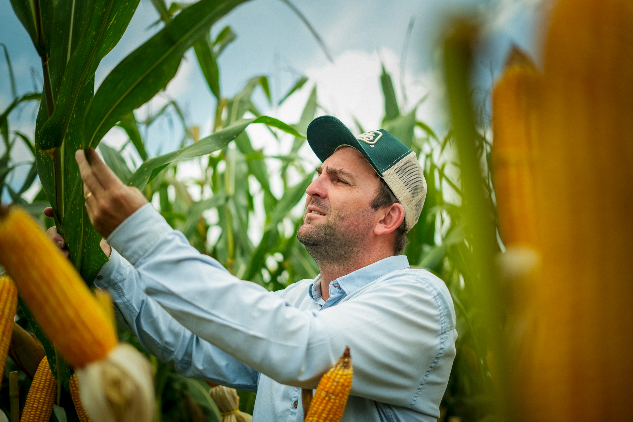 Home Biologicos Imagem Decorativa