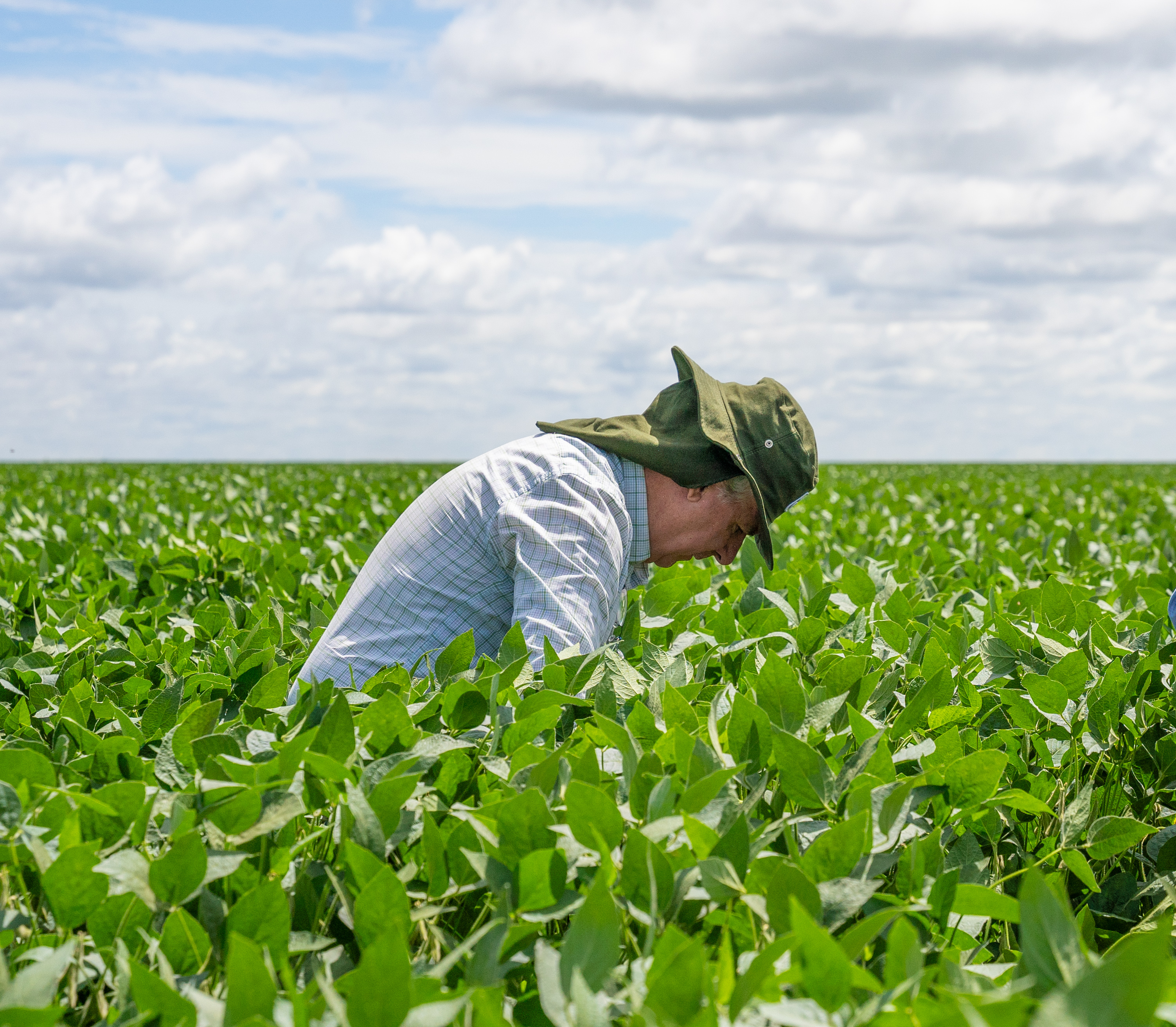 Home Biologicos Imagem Decorativa