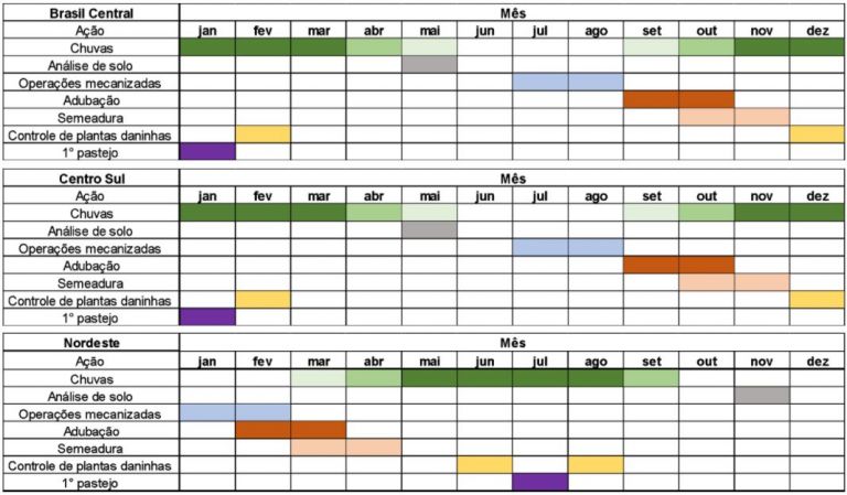 Cronogramas de período e etapas na reforma de pastagem para o Brasil Central, Centro -Sul e região Nordeste do país.