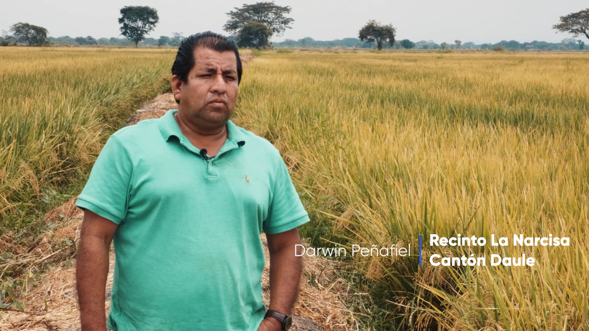 1Divixton - Darwin Peñafiel